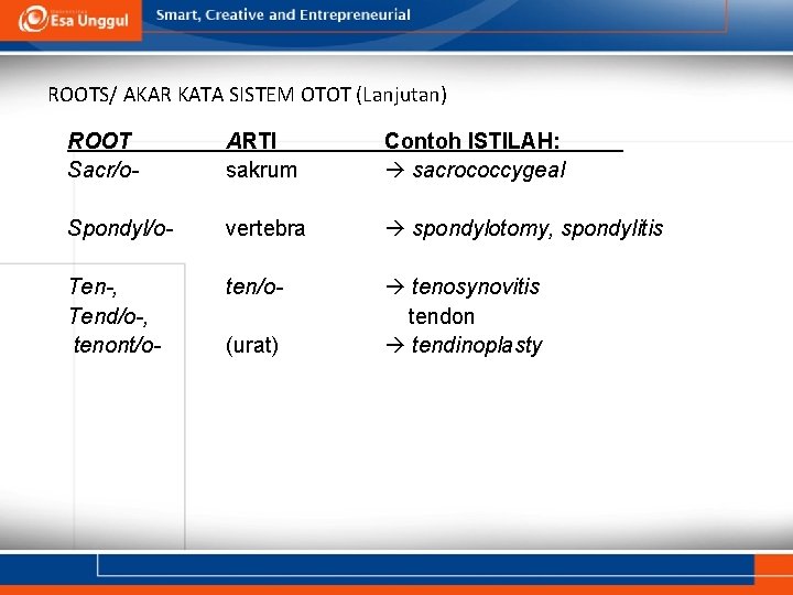 ROOTS/ AKAR KATA SISTEM OTOT (Lanjutan) ROOT Sacr/o- ARTI sakrum Contoh ISTILAH: sacrococcygeal Spondyl/o-