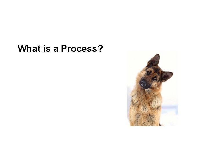 What is a Process? 