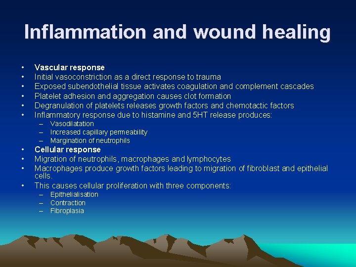 Inflammation and wound healing • • • Vascular response Initial vasoconstriction as a direct