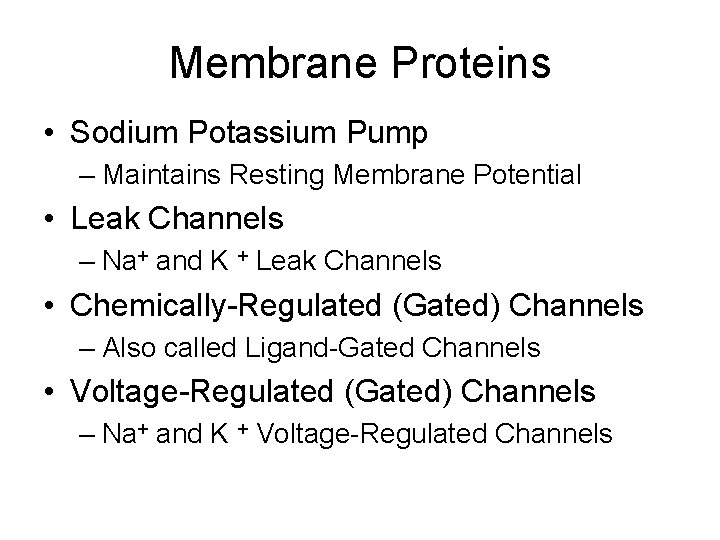 Membrane Proteins • Sodium Potassium Pump – Maintains Resting Membrane Potential • Leak Channels