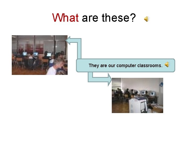 What are these? They are our computer classrooms. 