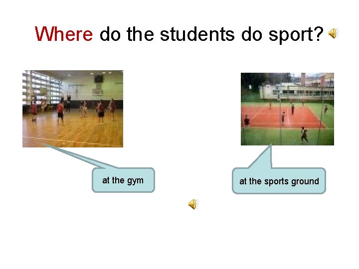 Where do the students do sport? at the gym at the sports ground 