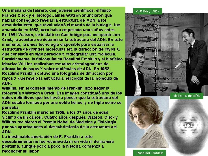 Una mañana de febrero, dos jóvenes científicos, el físico Francis Crick y el biólogo