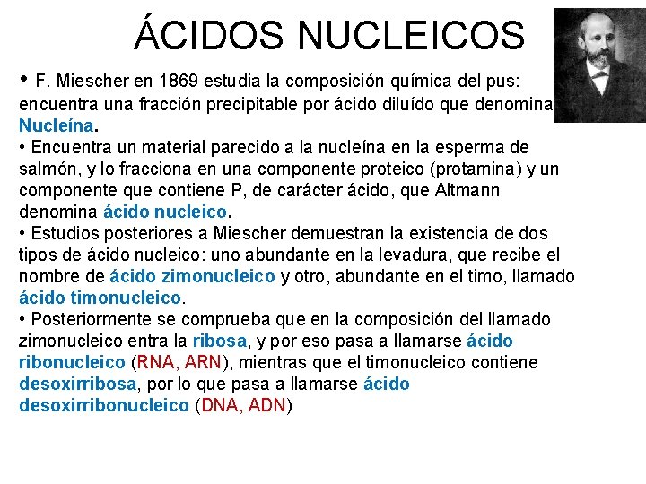 ÁCIDOS NUCLEICOS • F. Miescher en 1869 estudia la composición química del pus: encuentra