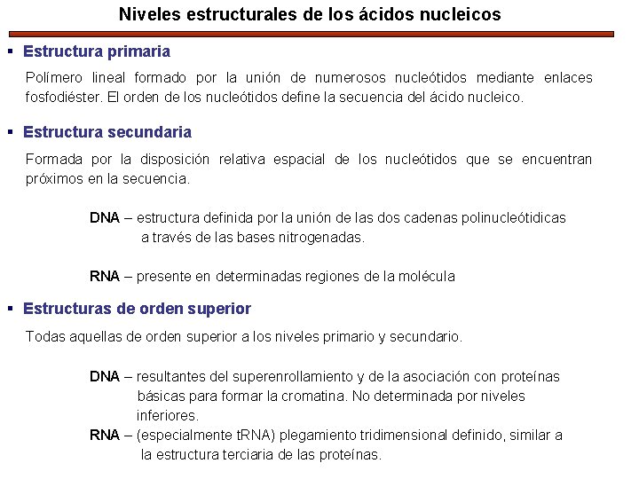 Niveles estructurales de los ácidos nucleicos § Estructura primaria Polímero lineal formado por la