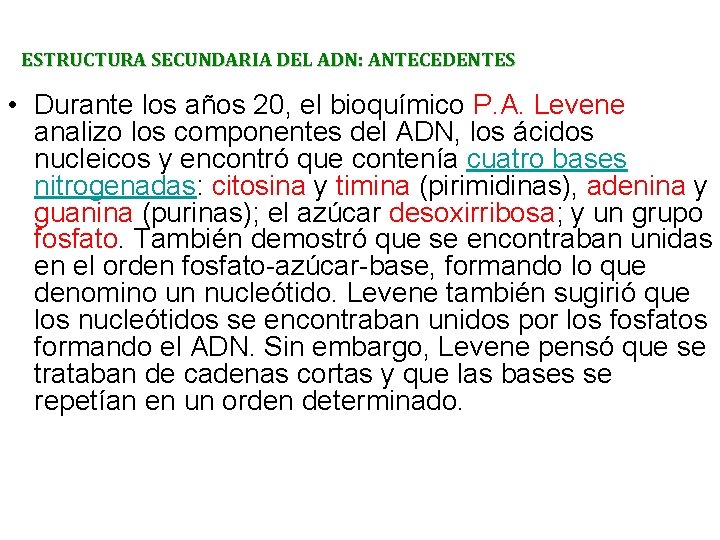ESTRUCTURA SECUNDARIA DEL ADN: ANTECEDENTES • Durante los años 20, el bioquímico P. A.
