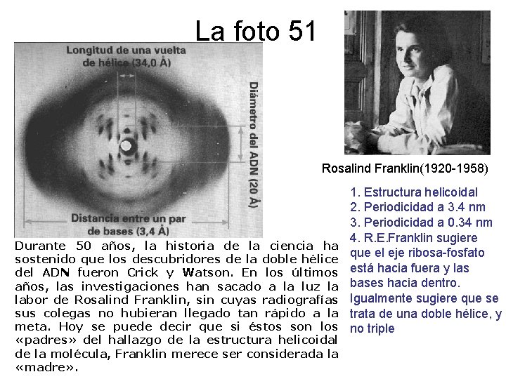 La foto 51 Rosalind Franklin(1920 -1958) Durante 50 años, la historia de la ciencia