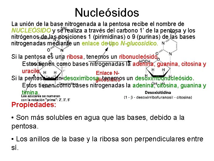 Nucleósidos La unión de la base nitrogenada a la pentosa recibe el nombre de