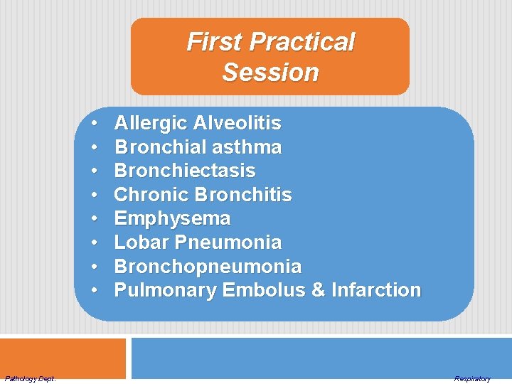 First Practical Session • • Pathology Dept. Allergic Alveolitis Bronchial asthma Bronchiectasis Chronic Bronchitis