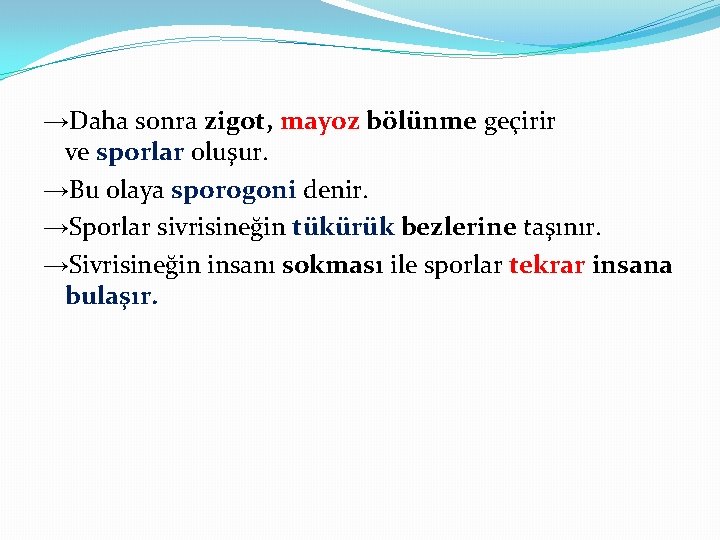 →Daha sonra zigot, mayoz bölünme geçirir ve sporlar oluşur. →Bu olaya sporogoni denir. →Sporlar