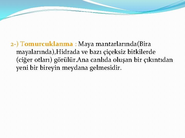 2 -) Tomurcuklanma : Maya mantarlarında(Bira mayalarında), Hidrada ve bazı çiçeksiz bitkilerde (ciğer otları)