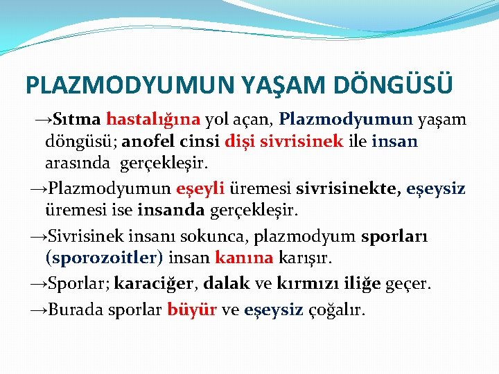 PLAZMODYUMUN YAŞAM DÖNGÜSÜ →Sıtma hastalığına yol açan, Plazmodyumun yaşam döngüsü; anofel cinsi dişi sivrisinek