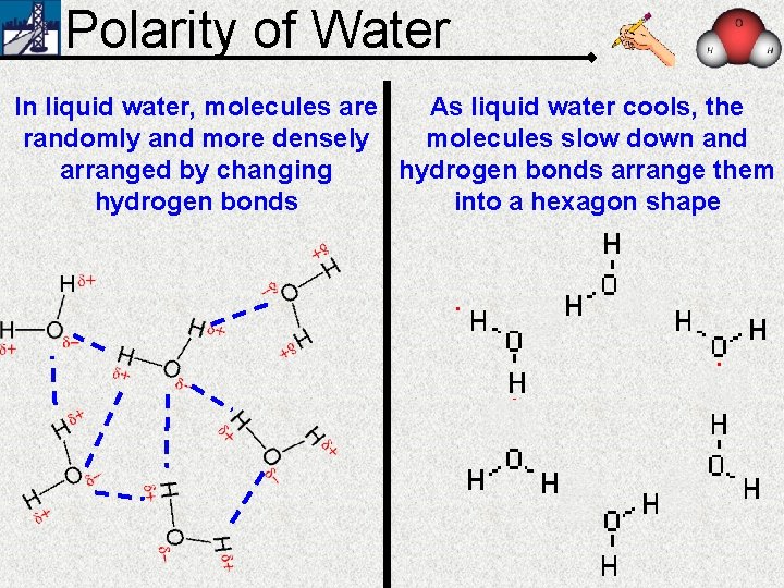 Polarity of Water In liquid water, molecules are As liquid water cools, the randomly