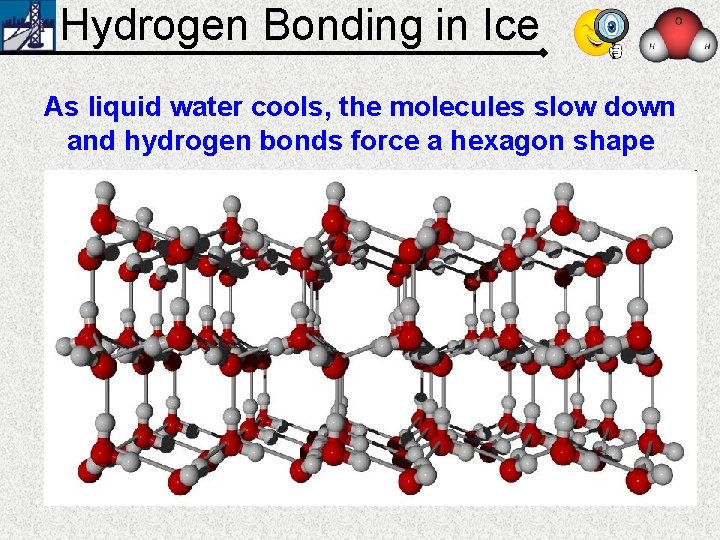 Hydrogen Bonding in Ice As liquid water cools, the molecules slow down and hydrogen