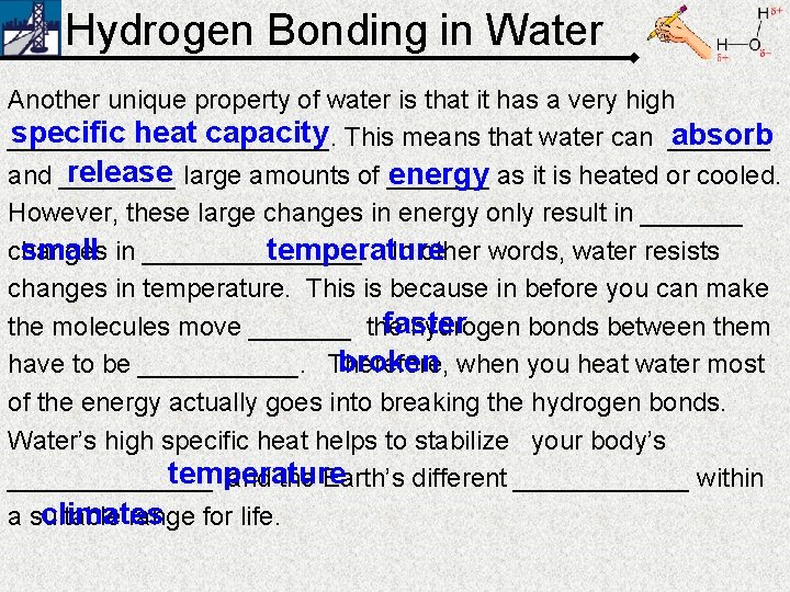 Hydrogen Bonding in Water Another unique property of water is that it has a