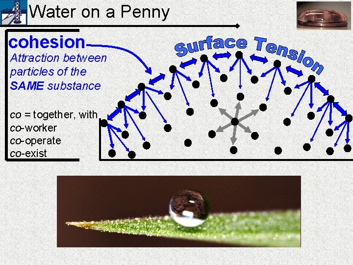 Water on a Penny cohesion Attraction between particles of the SAME substance co =