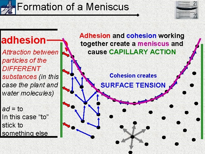 Formation of a Meniscus adhesion Attraction between particles of the DIFFERENT substances (in this