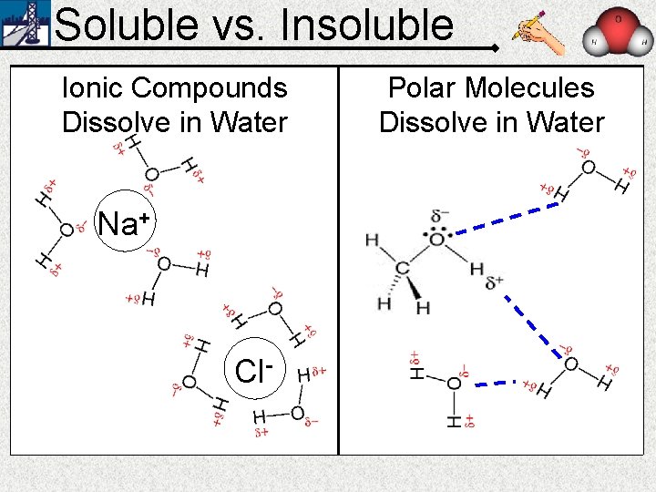 Soluble vs. Insoluble Ionic Compounds Dissolve in Water Na+ Cl- Polar Molecules Dissolve in