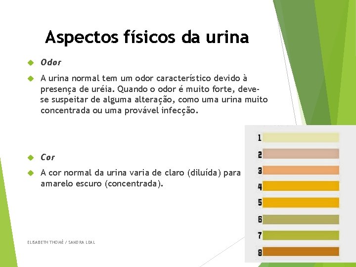 Aspectos físicos da urina Odor A urina normal tem um odor característico devido à