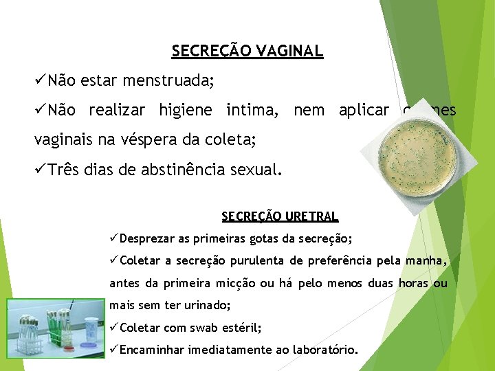 SECREÇÃO VAGINAL üNão estar menstruada; üNão realizar higiene intima, nem aplicar cremes vaginais na