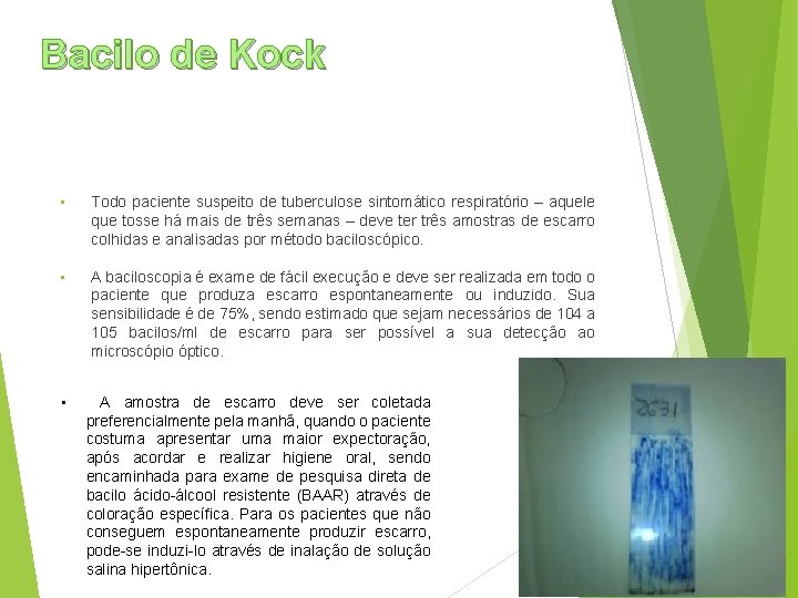 Bacilo de de Kock • Todo paciente suspeito de tuberculose sintomático respiratório – aquele