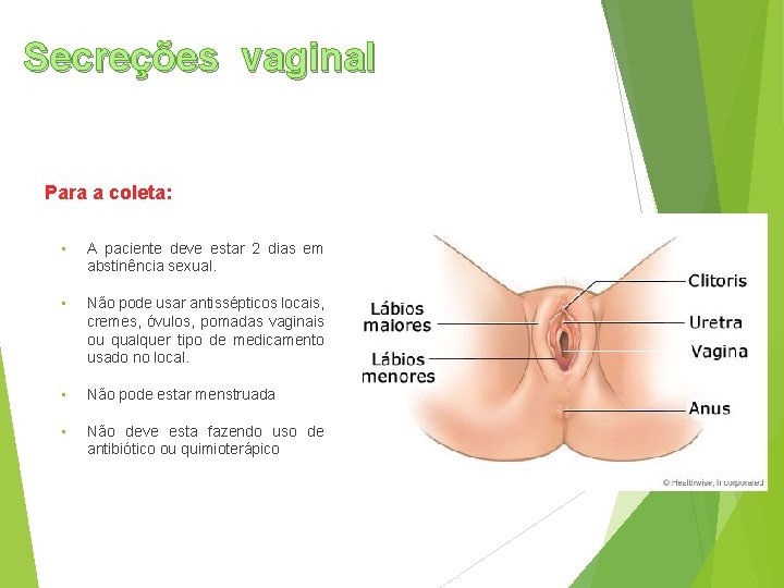 Secreções vaginal Para a coleta: • A paciente deve estar 2 dias em abstinência