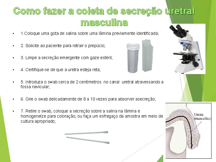 Como fazer a coleta de secreção uretral masculina • 1. Coloque uma gota de