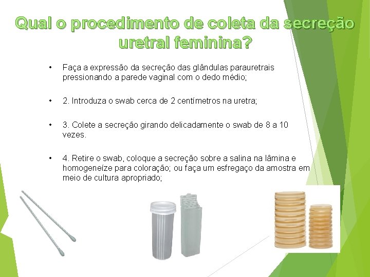Qual o procedimento de coleta da secreção uretral feminina? • Faça a expressão da