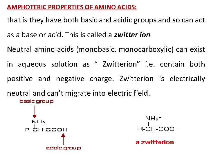 AMPHOTERIC PROPERTIES OF AMINO ACIDS: that is they have both basic and acidic groups