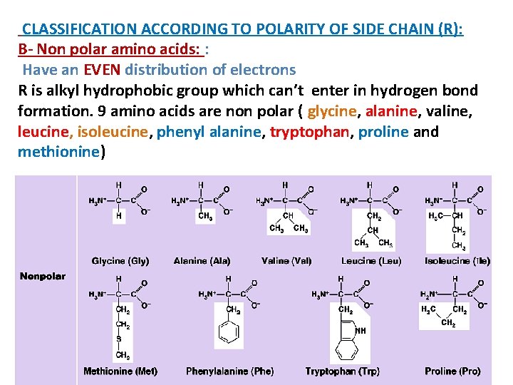 CLASSIFICATION ACCORDING TO POLARITY OF SIDE CHAIN (R): B- Non polar amino acids: :