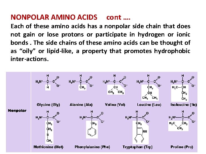 NONPOLAR AMINO ACIDS cont …. Each of these amino acids has a nonpolar side