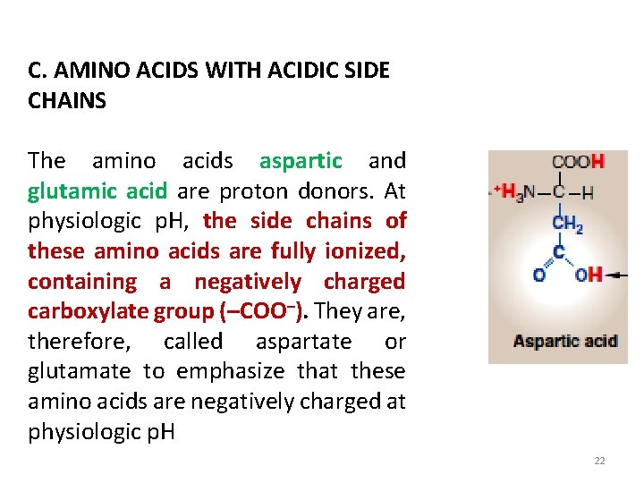 C. AMINO ACIDS WITH ACIDIC SIDE CHAINS The amino acids aspartic and glutamic acid