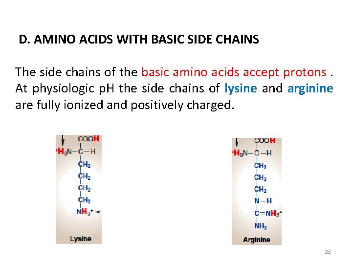 D. AMINO ACIDS WITH BASIC SIDE CHAINS The side chains of the basic amino