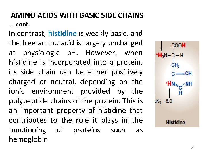 AMINO ACIDS WITH BASIC SIDE CHAINS …. cont In contrast, histidine is weakly basic,