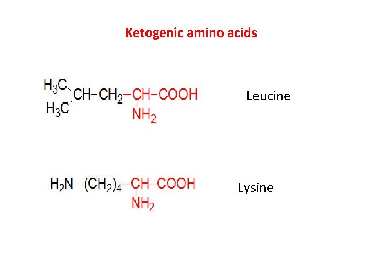 Ketogenic amino acids Leucine Lysine 