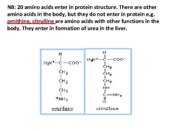 NB: 20 amino acids enter in protein structure. There are other amino acids in