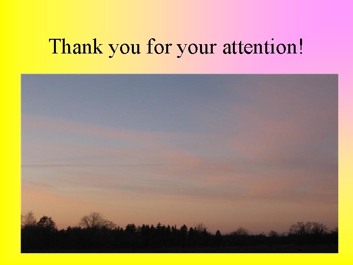 Thank you for your attention! • 