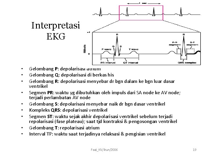 Interpretasi EKG • • • Gelombang P: depolarisasi atrium Gelombang Q: depolarisasi di berkas