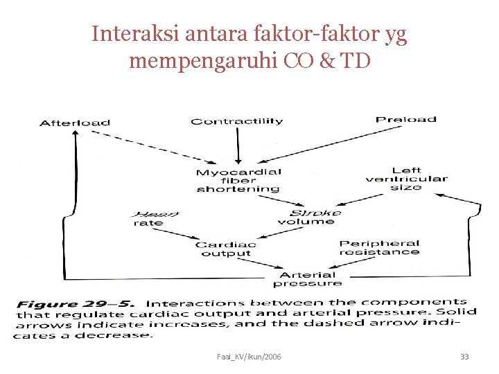 Interaksi antara faktor-faktor yg mempengaruhi CO & TD Faal_KV/ikun/2006 33 