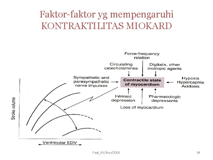 Faktor-faktor yg mempengaruhi KONTRAKTILITAS MIOKARD Faal_KV/ikun/2006 34 