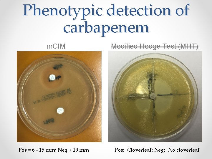 Phenotypic detection of carbapenem m. CIM Pos = 6 – 15 mm; Neg >