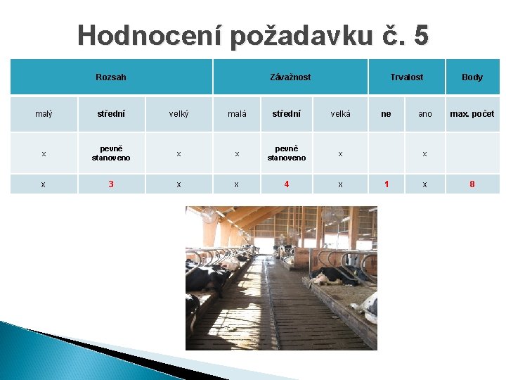 Hodnocení požadavku č. 5 Rozsah Závažnost Trvalost malý střední velký malá střední velká x