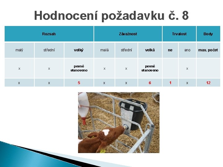Hodnocení požadavku č. 8 Rozsah Závažnost Trvalost malý střední velký malá střední velká x