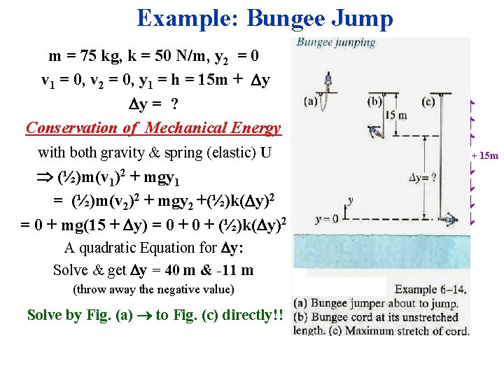 Example: Bungee Jump m = 75 kg, k = 50 N/m, y 2 =