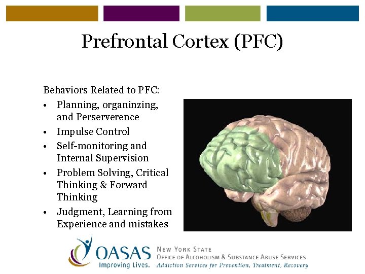 Prefrontal Cortex (PFC) Behaviors Related to PFC: • Planning, organinzing, and Perserverence • Impulse
