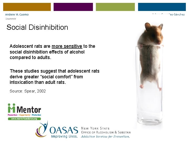 Social Disinhibition Adolescent rats are more sensitive to the social disinhibition effects of alcohol