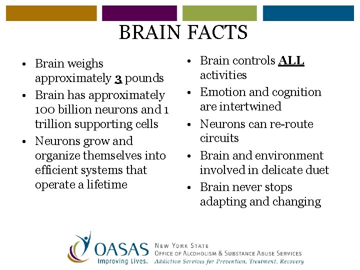 BRAIN FACTS • Brain weighs approximately 3 pounds • Brain has approximately 100 billion