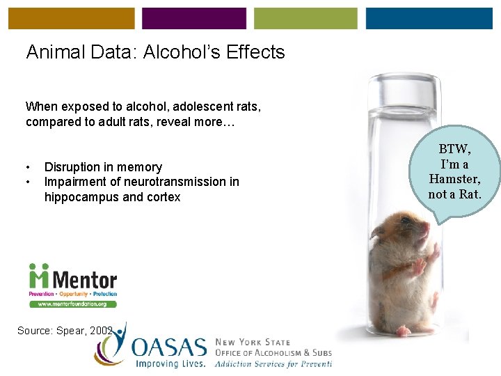 Animal Data: Alcohol’s Effects When exposed to alcohol, adolescent rats, compared to adult rats,