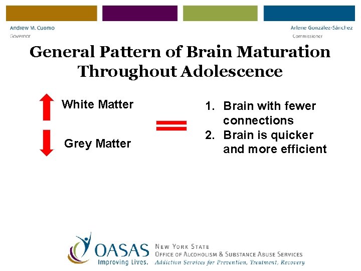 General Pattern of Brain Maturation Throughout Adolescence White Matter Grey Matter 1. Brain with