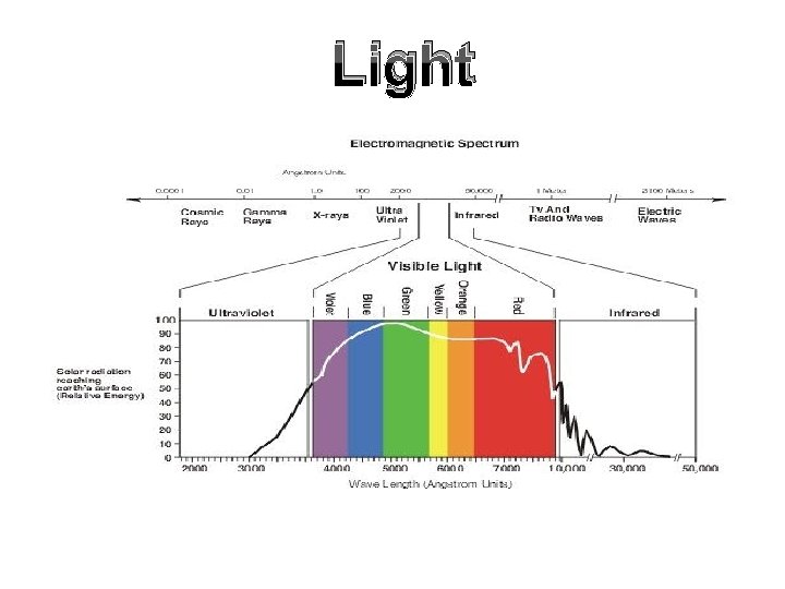 Light Light